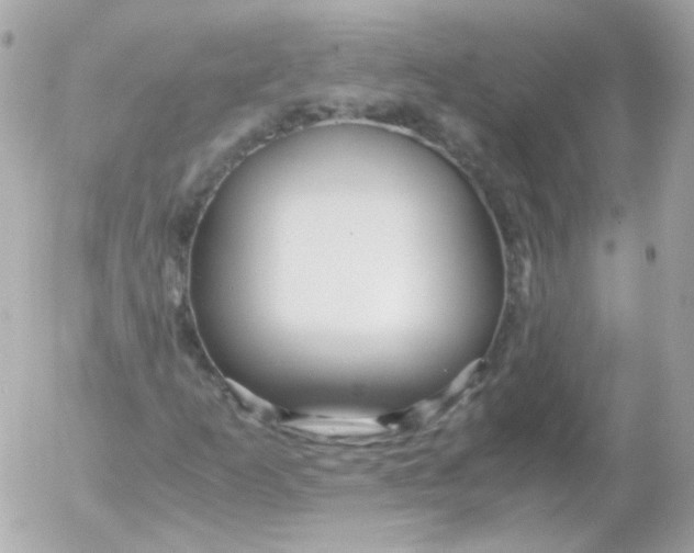 X0000052651253200507221833