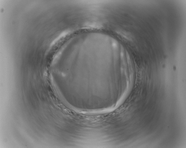 X0000052651254200507221833