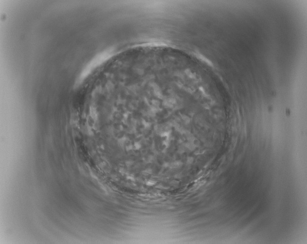 X0000052651255200507221832