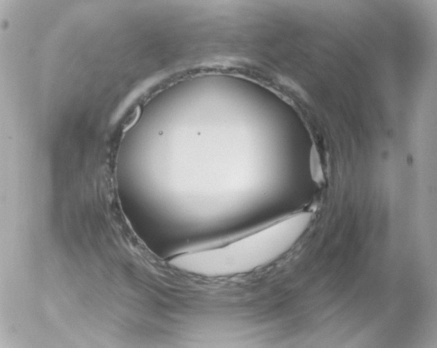 X0000052651256200507221832