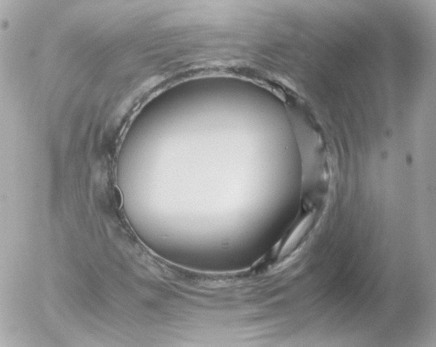 X0000052651257200507221832