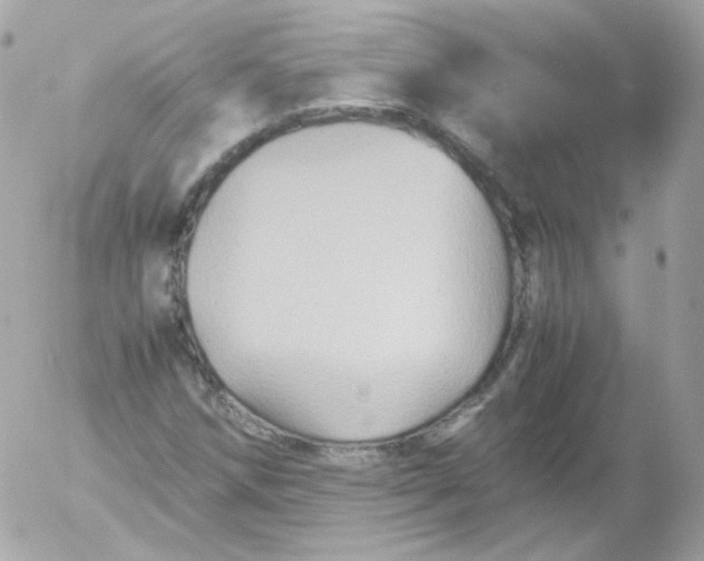 X0000052651258200507221832