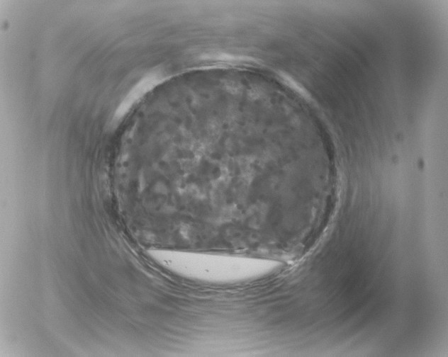 X0000052651259200507221832