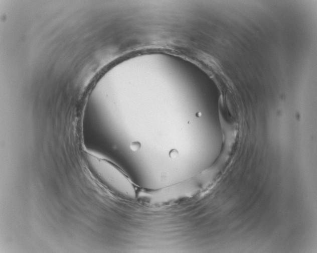 X0000052651260200507221832