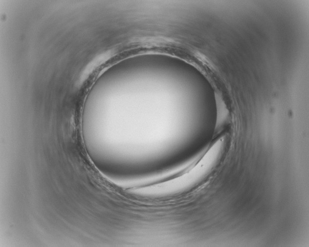 X0000052651261200507221832