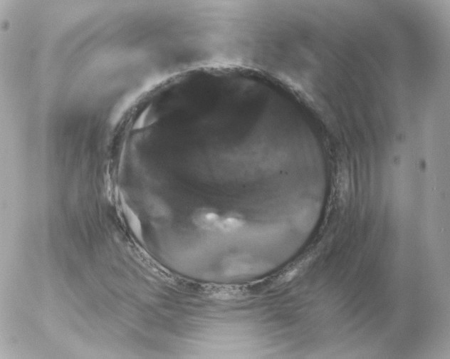 X0000052651262200507221832