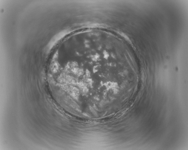 X0000052651263200507221832