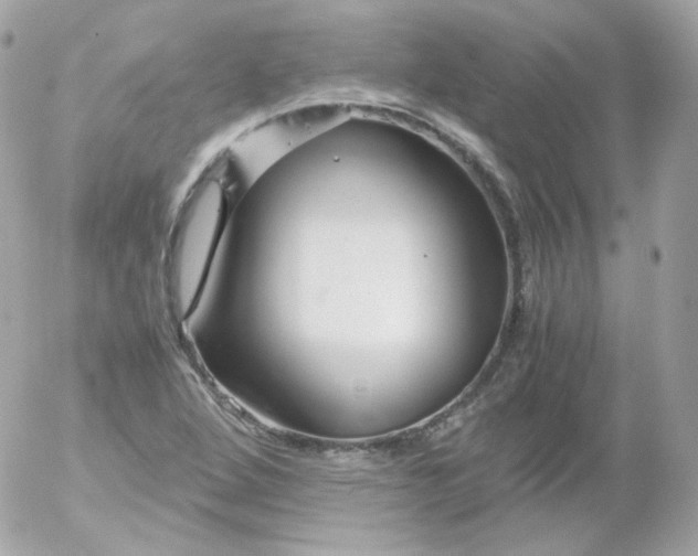 X0000052651264200507221832