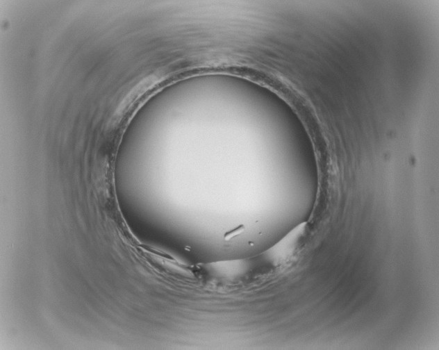 X0000052651265200507221832