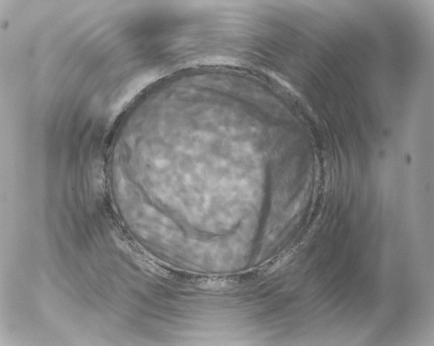 X0000052651266200507221832