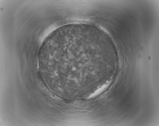 X0000052651267200507221832