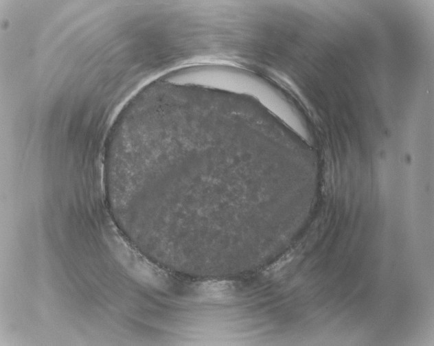 X0000052651268200507221832