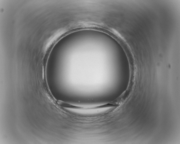 X0000052651269200507221832