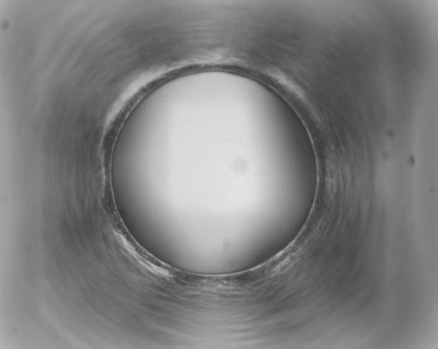 X0000052651270200507221832