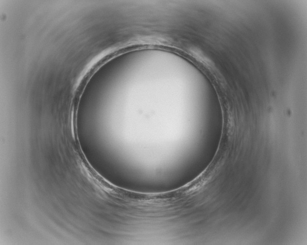 X0000052651272200507221832