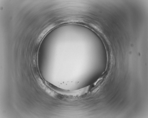 X0000052651273200507221832