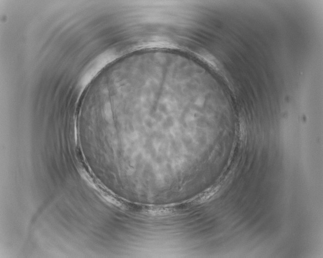 X0000052651274200507221832