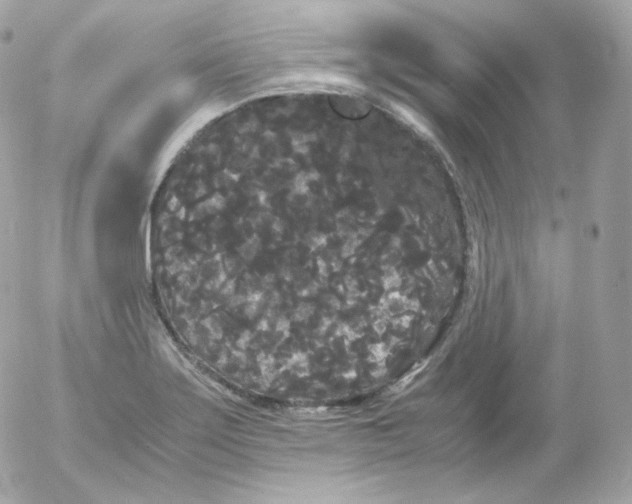 X0000052651275200507221832