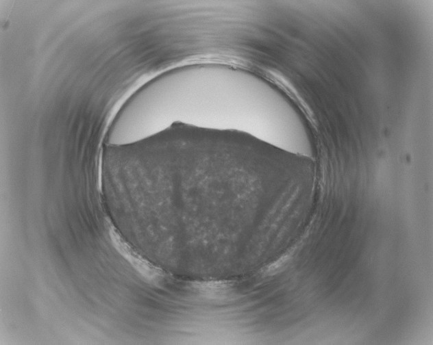 X0000052651276200507221832