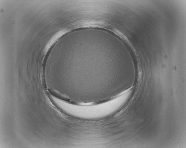 X0000052651277200507221832