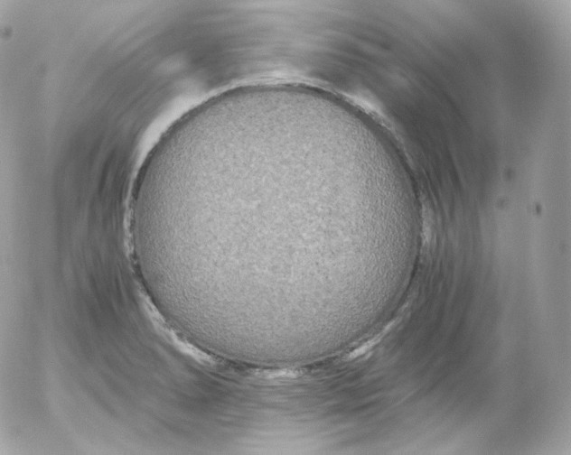 X0000052651278200507221832