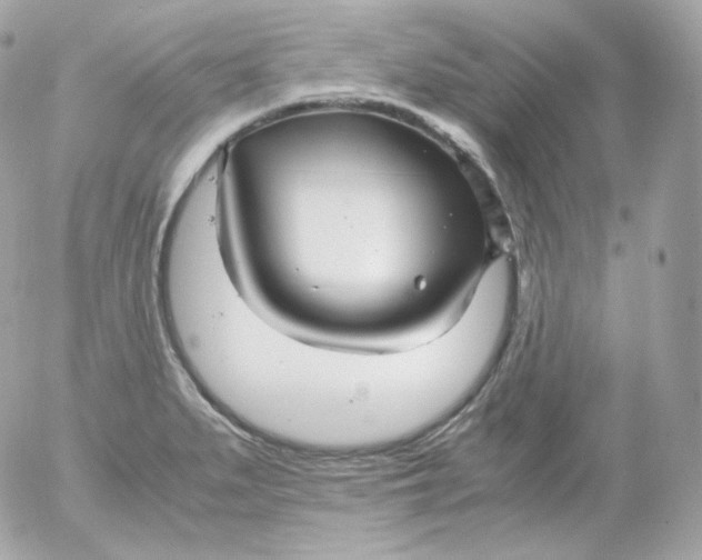 X0000052651279200507221832