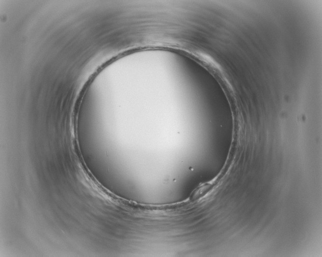 X0000052651280200507221832