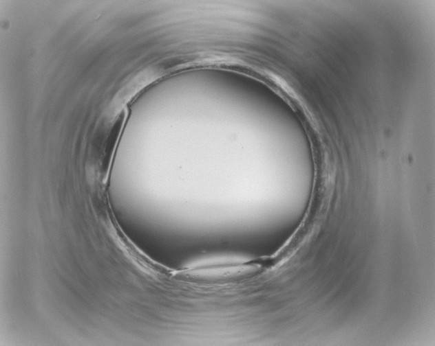 X0000052651281200507221832