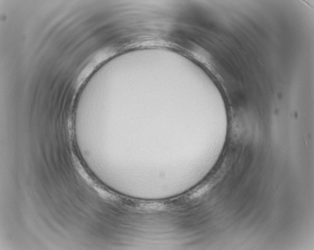 X0000052651282200507221832