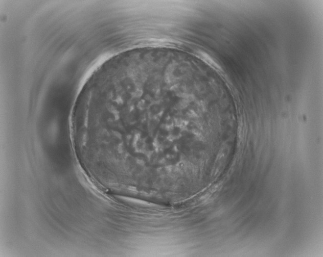 X0000052651283200507221832