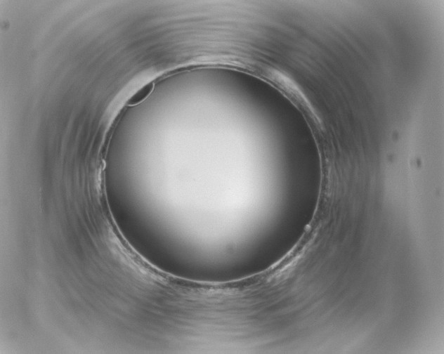 X0000052651284200507221832