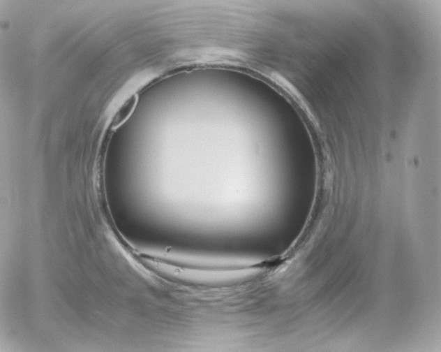 X0000052651285200507221832