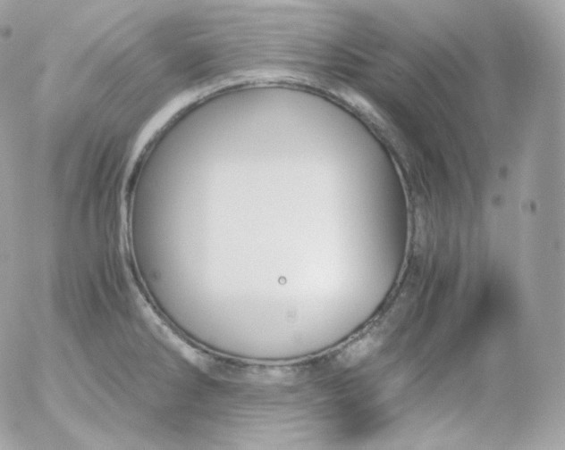 X0000052651286200507221832