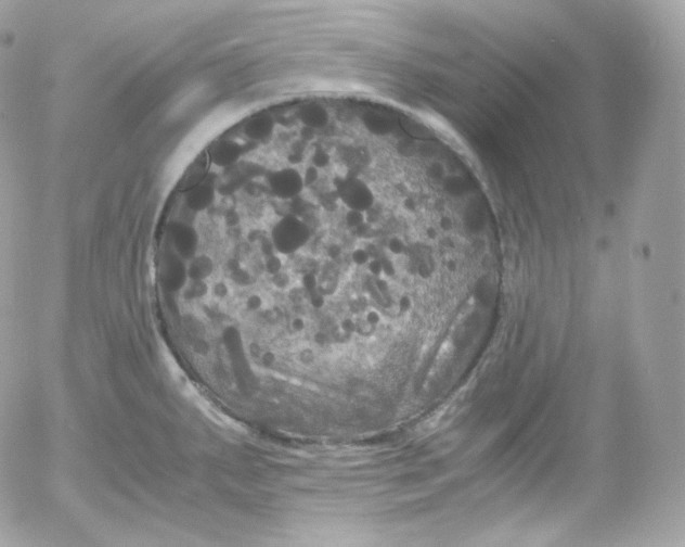 X0000052651287200507221832