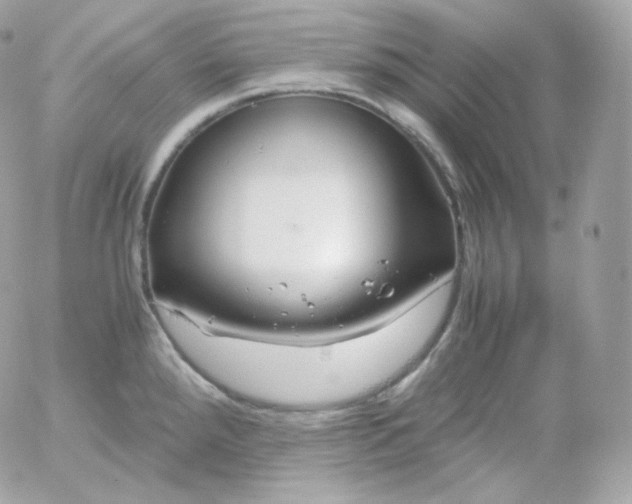 X0000052651288200507221832