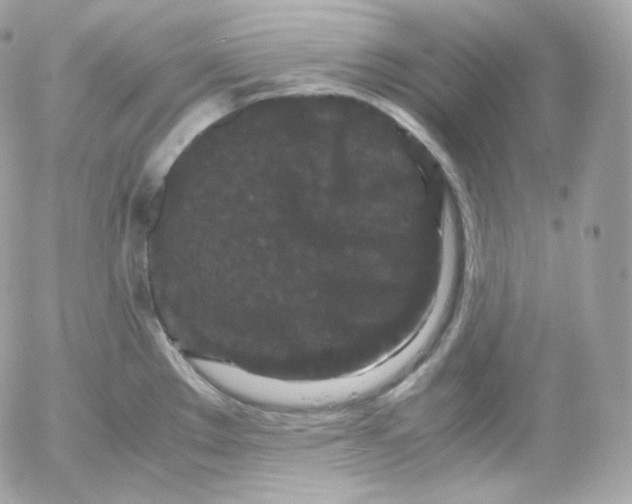 X0000052651289200507221832