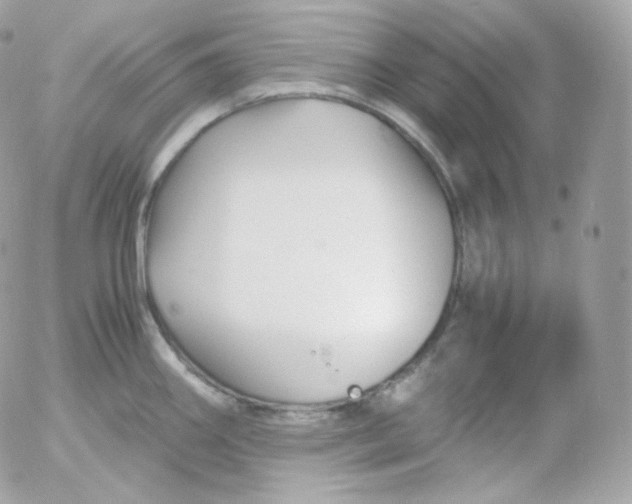 X0000052651290200507221832