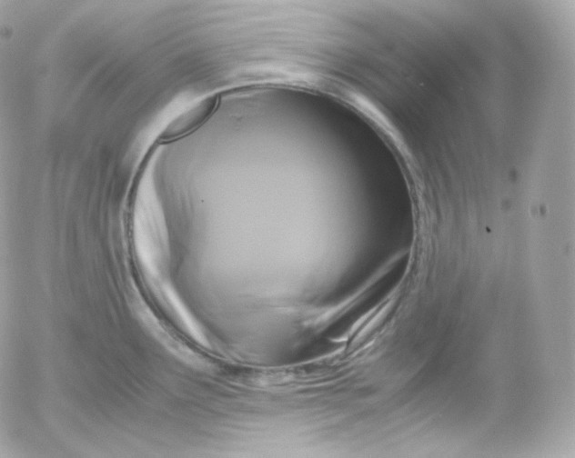 X0000052651291200507221832