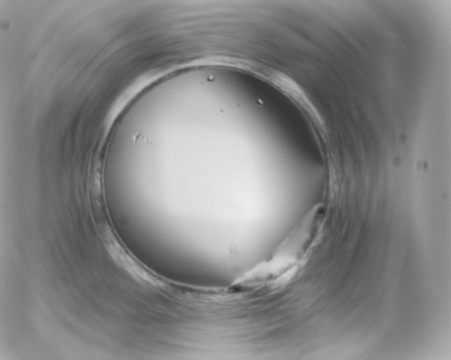 X0000052651292200507221832