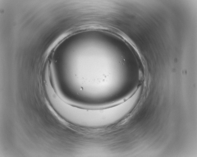 X0000052651293200507221832