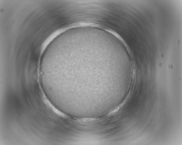 X0000052651294200507221832