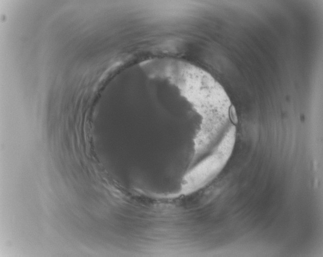 X0000052651297200507221831