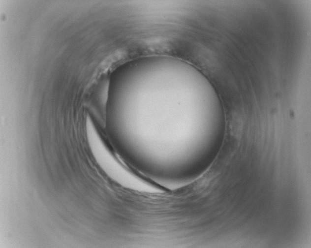 X0000052651298200507221831