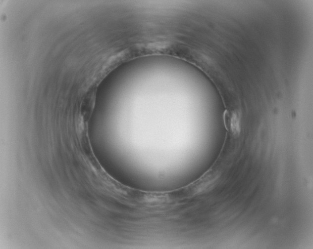 X0000052651299200507221831