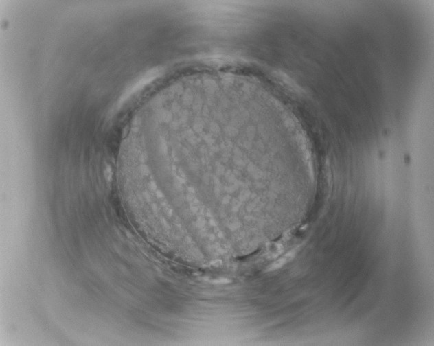 X0000052651302200507221831