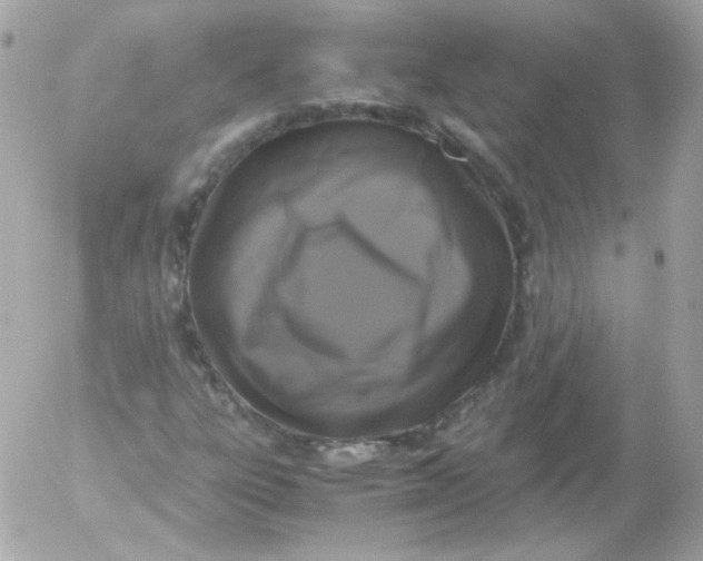 X0000052651303200507221831