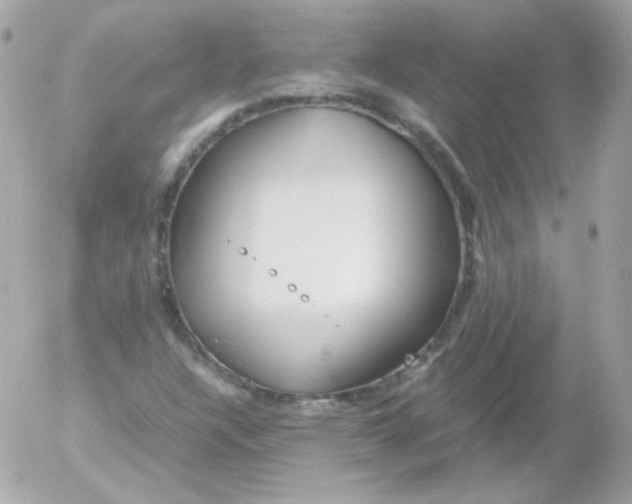 X0000052651304200507221831