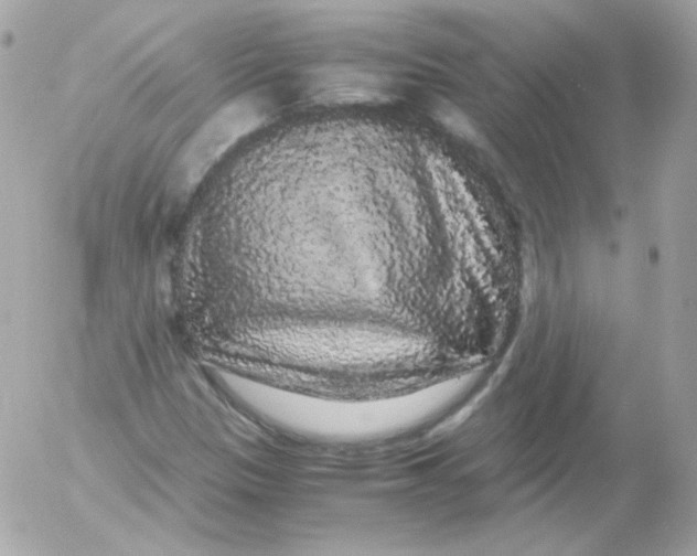 X0000052651305200507221831