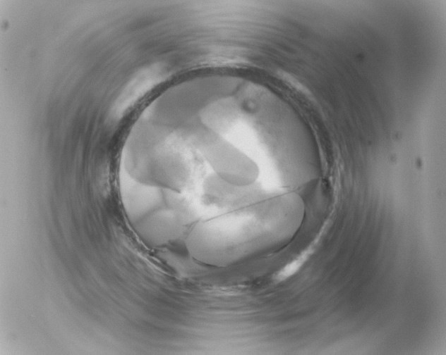 X0000052651306200507221831