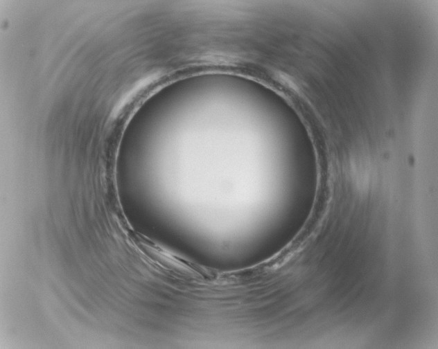 X0000052651307200507221831